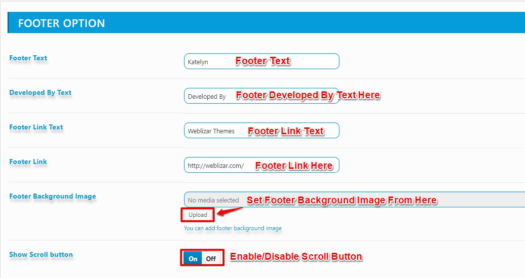 footer-setting