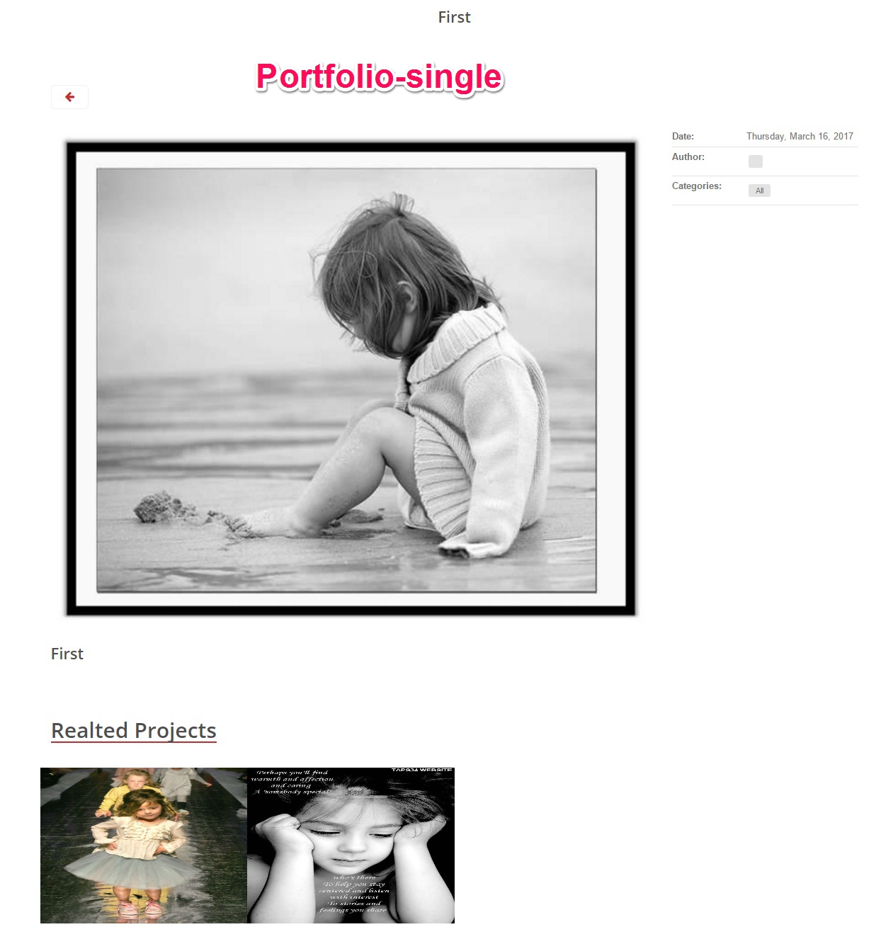 Portfolio-single